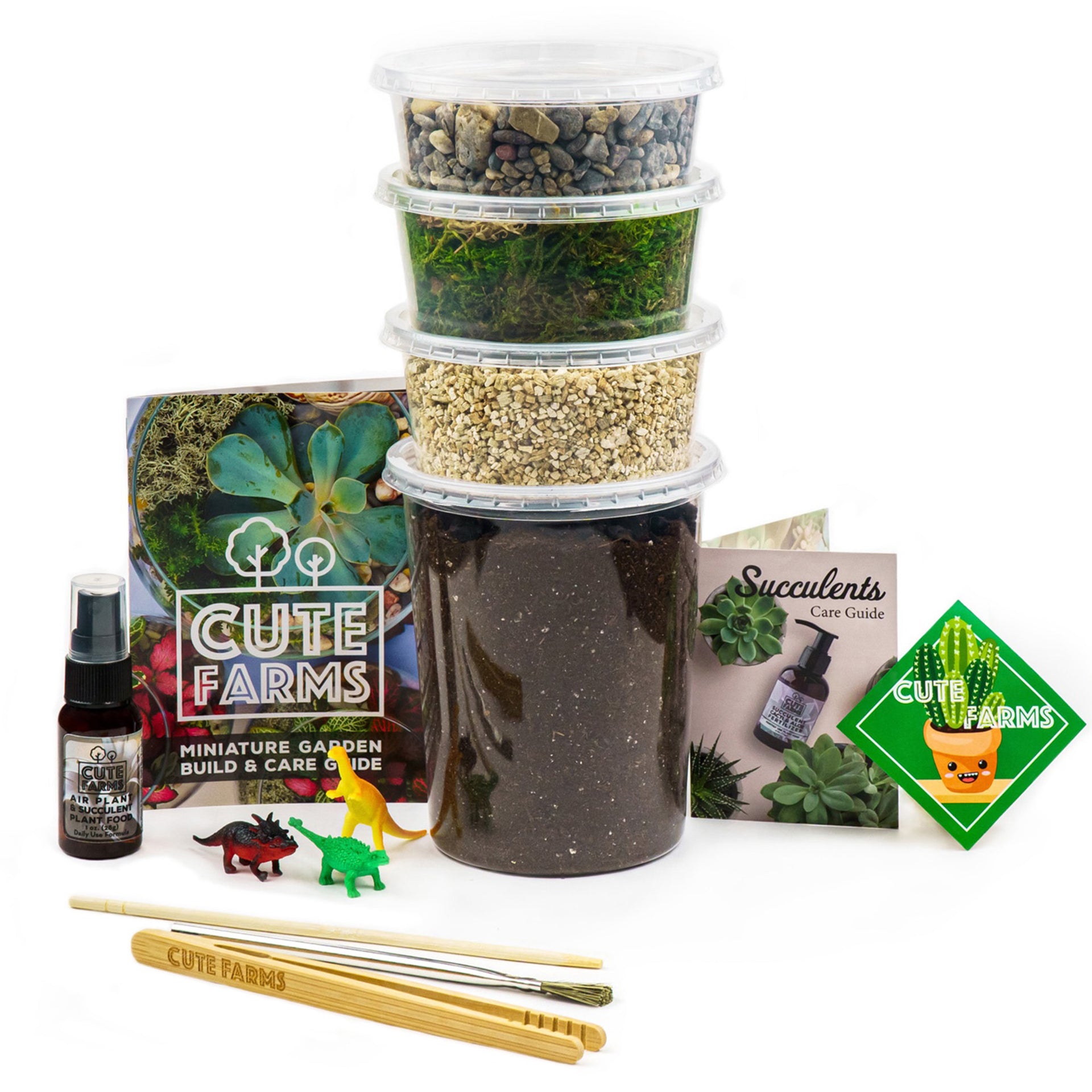 plant terrarium for sale Medium Terrarium Starter Kit 5 Air Plants / 3 Succulents
