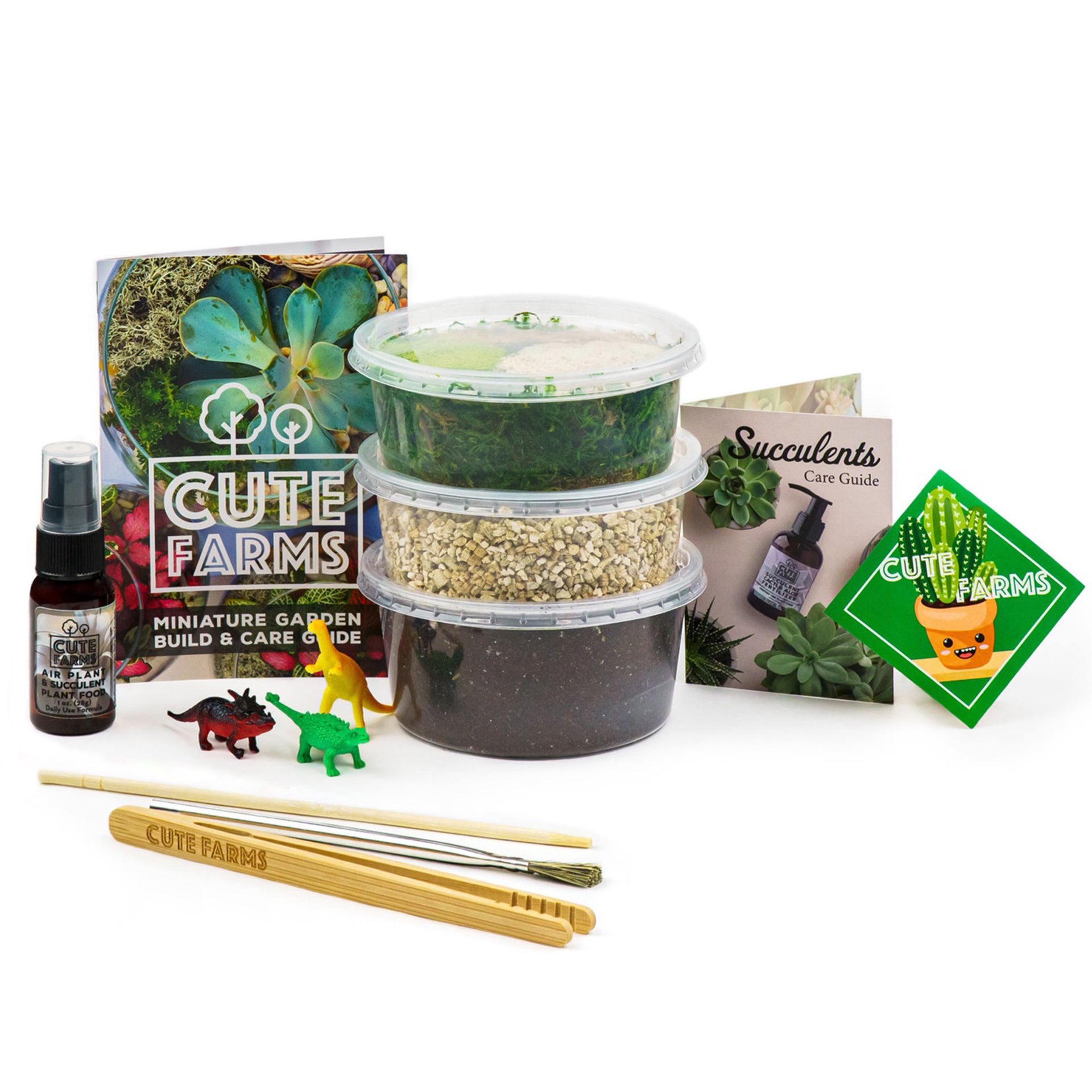 Small Terrarium Starter Kit 4 Air Plants / 4 Succulents