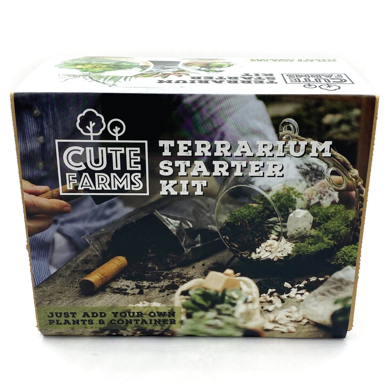 plant terrarium kits for sale Terrarium Starter Kit
