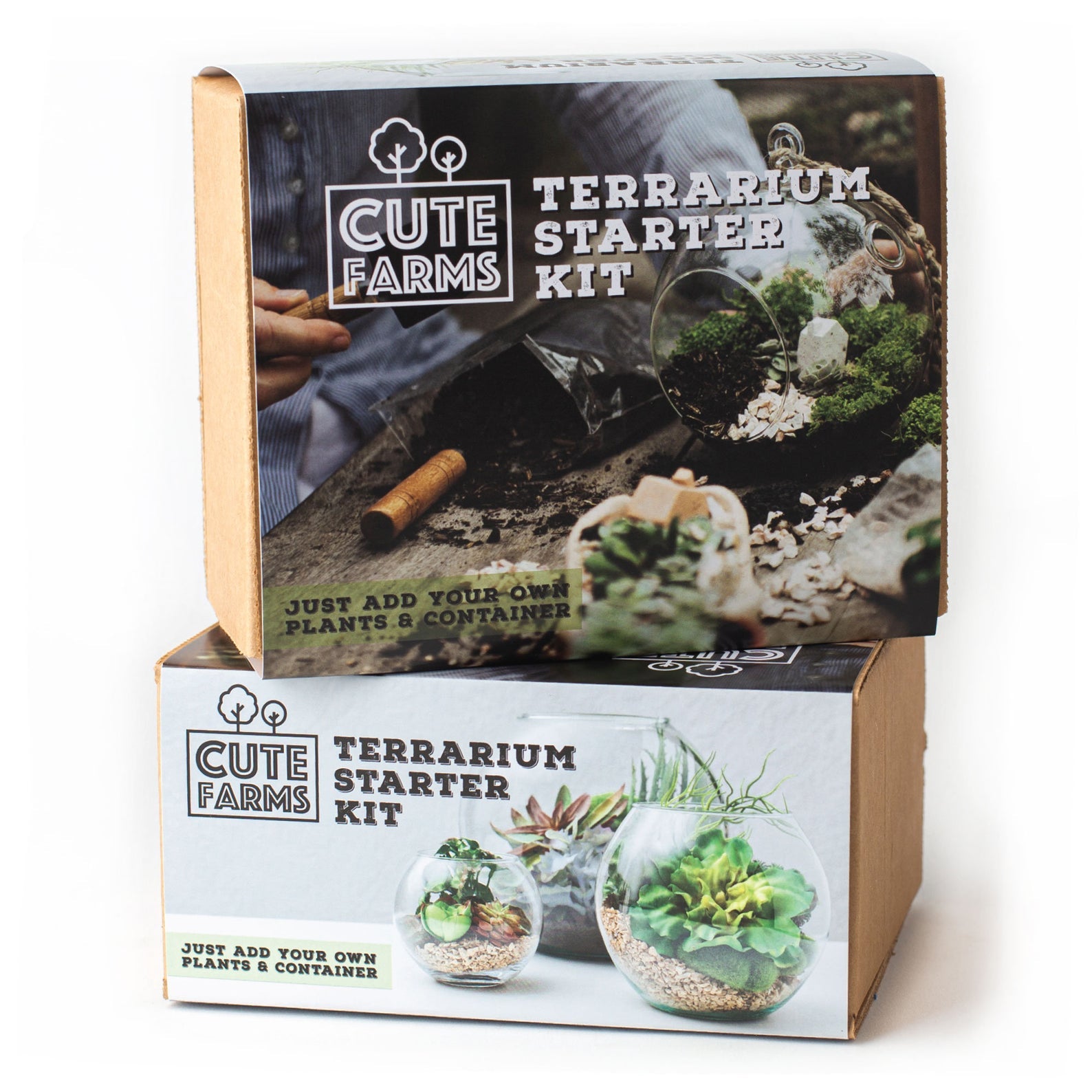 Succulent Terrarium Kit